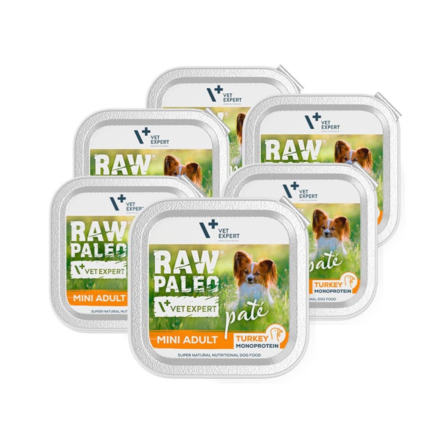 RAW PALEO PATE MINI ADULT TURKEY 6x150g