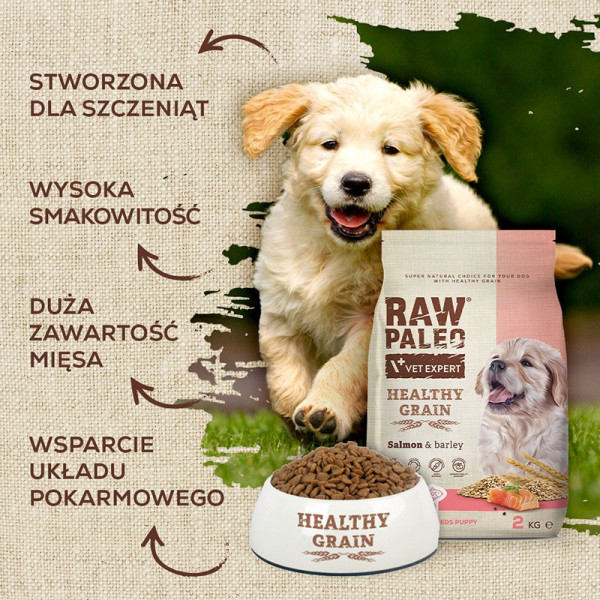 RAW PALEO HEALTHY GRAIN PUPPY SALMON - sucha karma z łososiem dla szczeniąt