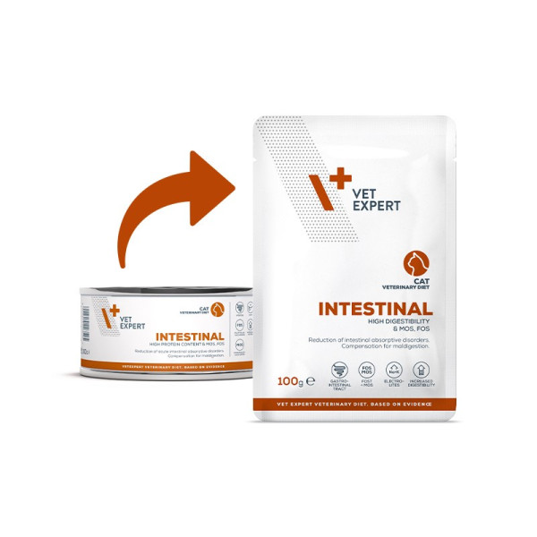 VET EXPERT INTESTINAL CAT saszetka 12x100g - mokra karma weterynaryjna dla kotów