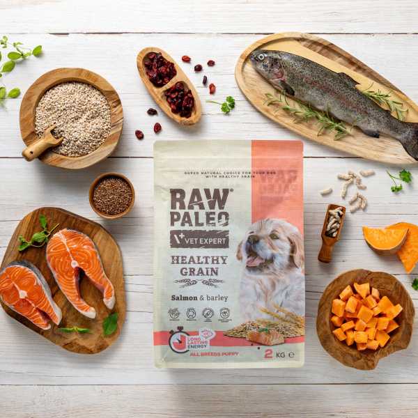 RAW PALEO HEALTHY GRAIN PUPPY SALMON - sucha karma z łososiem dla szczeniąt