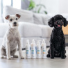 VET EXPERT Detox Care Deep Dark - zestaw chroniący ciemną sierść - szampon i odżywka