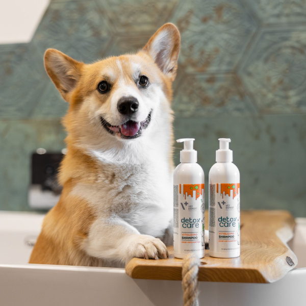 VET EXPERT Detox Care Vitalizing Conditioner - odżywka dla psa i kota, ułatwiająca rozczesywanie 150 ml