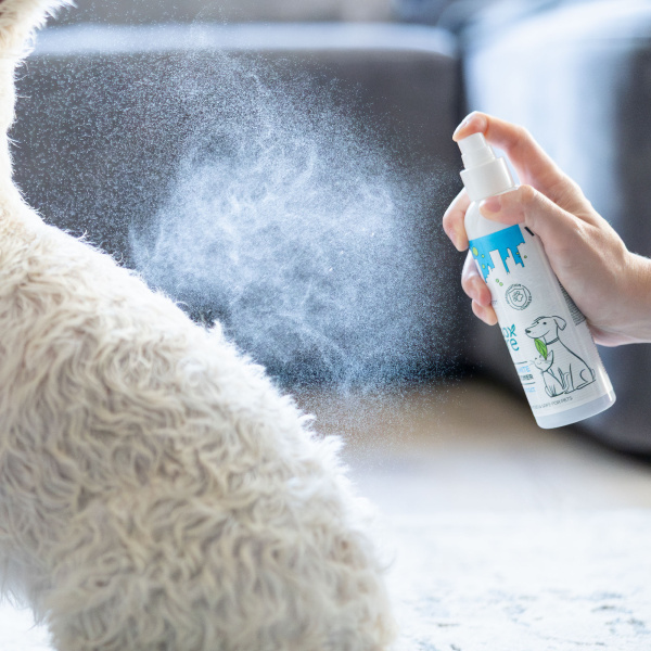 VET EXPERT Detox Care Pure White Conditioner - odżywka bez spłukiwania dla psów i kotów o jasnej i białej sierści 150 ml