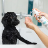 VET EXPERT Detox Care Deep Dark Shampoo - szampon dla psów i kotów o ciemnym i czarnym ubarwieniu sierści 250 ml