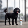 VET EXPERT Detox Care Deep Dark Shampoo - szampon dla psów i kotów o ciemnym i czarnym ubarwieniu sierści 250 ml