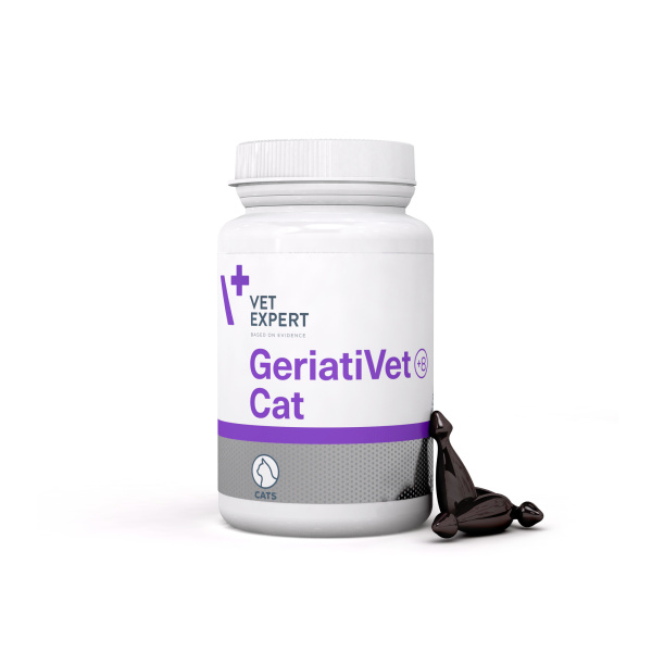 GERIATIVET CAT