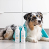 VET EXPERT Clinic Care Hypo & Omega Shampoo and Conditioner - zestaw szampon i odżywka dla psów i kotów