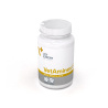 VETAMINEX SMALL BREED&CATS -  preparat witaminowo-mineralny dla psów ras małych i kotów