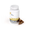VETAMINEX SMALL BREED&CATS -  preparat witaminowo-mineralny dla psów ras małych i kotów