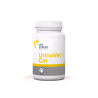 URINOVET CAT