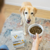 VET EXPERT RENAL ELIMINATION DOG - dieta dla psów z niewydolnością nerek