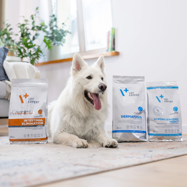 VET EXPERT INTESTINAL ELIMINATION DOG - sucha karma weterynaryjna dla psów