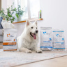 VET EXPERT INTESTINAL ELIMINATION DOG - sucha karma weterynaryjna dla psów