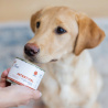 VET EXPERT INTESTINAL PUPPY 200g – lekkostrawna mokra karma weterynaryjna dla szczeniąt z zaburzeniami trawiennymi.