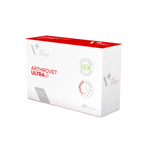 VET EXPERT ARTHROVET ULTRA – zaawansowany preparat wyznaczający nowy standard wsparcia stawów u psów i kotów
