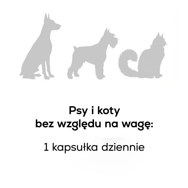 VET EXPERT ARTHROVET ULTRA – zaawansowany preparat wyznaczający nowy standard wsparcia stawów u psów i kotów