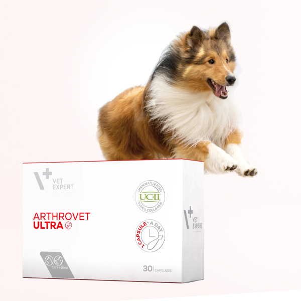 VET EXPERT ARTHROVET ULTRA – zaawansowany preparat wyznaczający nowy standard wsparcia stawów u psów i kotów