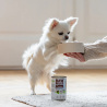 RAW PALEO ADULT DOG DEER 400g - mokra karma dla psów dorosłych monoproteina z mięsem jelenia