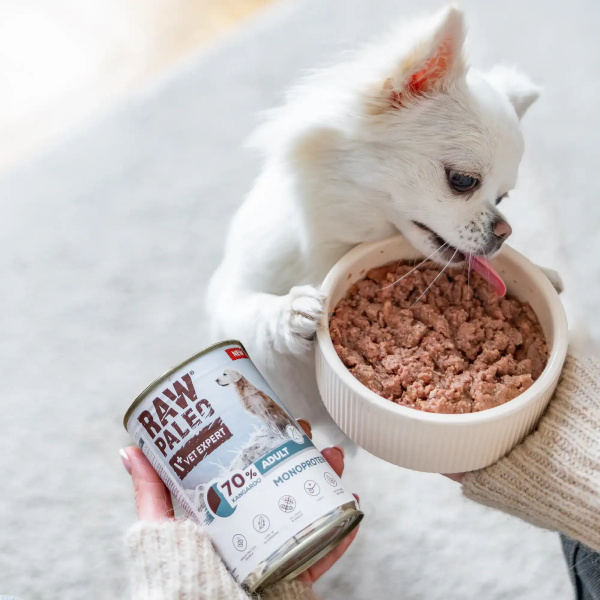 RAW PALEO ADULT DOG KANGAROO 6x400g - mokra karma dla psów dorosłych monoproteina z mięsem kangura