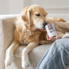 RAW PALEO ADULT DOG KANGAROO 400g - mokra karma dla psów dorosłych monoproteina z mięsem kangura