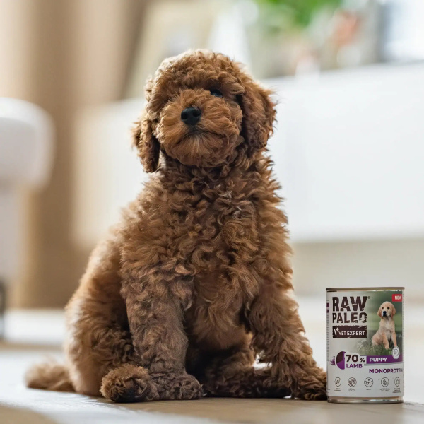 RAW PALEO PUPPY LAMB 12x400g - mokra karma dla szczeniąt monoproteina z jagnięciną