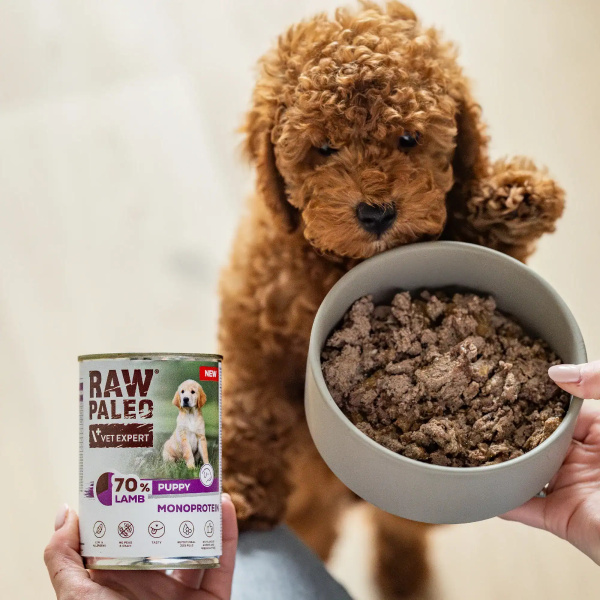 RAW PALEO PUPPY LAMB 400g - mokra karma dla szczeniąt monoproteina z jagnięciną