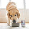 RAW PALEO ADULT DOG LAMB 800g - mokra karma dla psów dorosłych monoproteina z jagnięciną