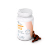 VET EXPERT IMMUNE SYSTEM - preparat wspomagający odporność