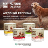 RAW PALEO Cabanossi Game Medium Large 100g - pełnoporcjowy naturalny przysmak w formie kiełbaski dla psa