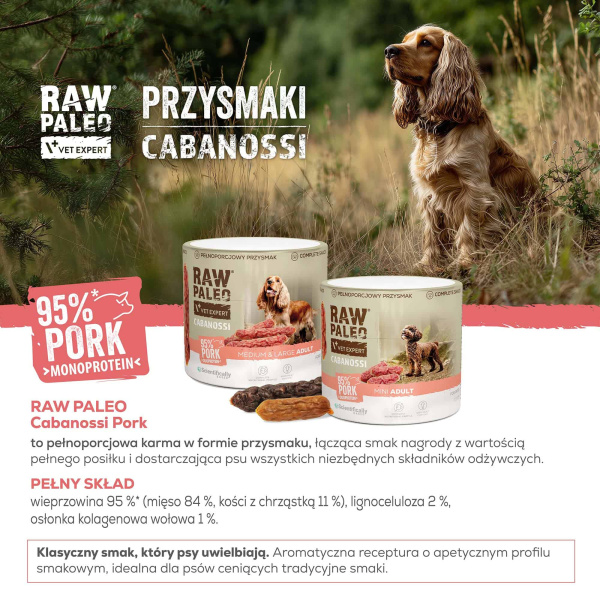 RAW PALEO Cabanossi Pork Medium Large 100g - pełnoporcjowy naturalny przysmak w formie kiełbaski dla psa