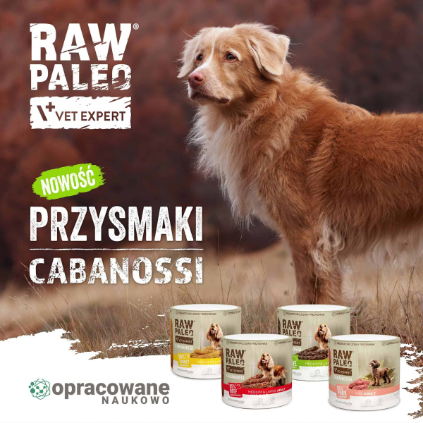 RAW PALEO Cabanossi Beef Medium Large 100g - pełnoporcjowy naturalny przysmak w formie kiełbaski dla psa