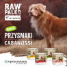 RAW PALEO Cabanossi Beef Medium Large 100g - pełnoporcjowy naturalny przysmak w formie kiełbaski dla psa
