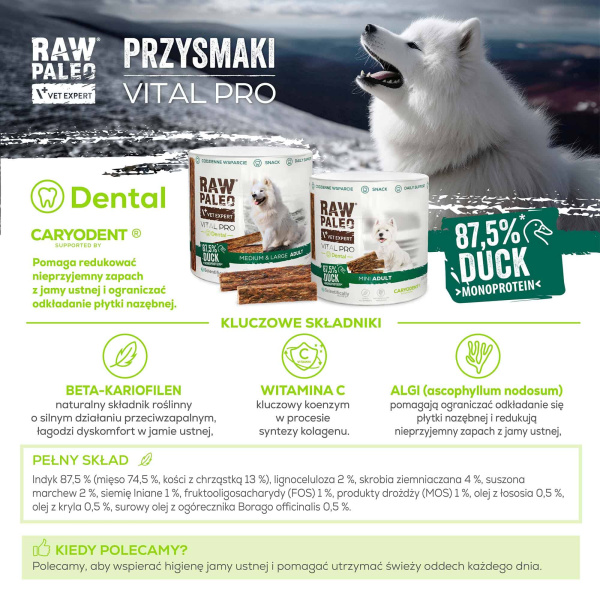 RAW PALEO Vital Pro Dental Duck Mini 100g - hipoalergiczny monoproteinowy przysmak funkcjonalny - baton dla psa