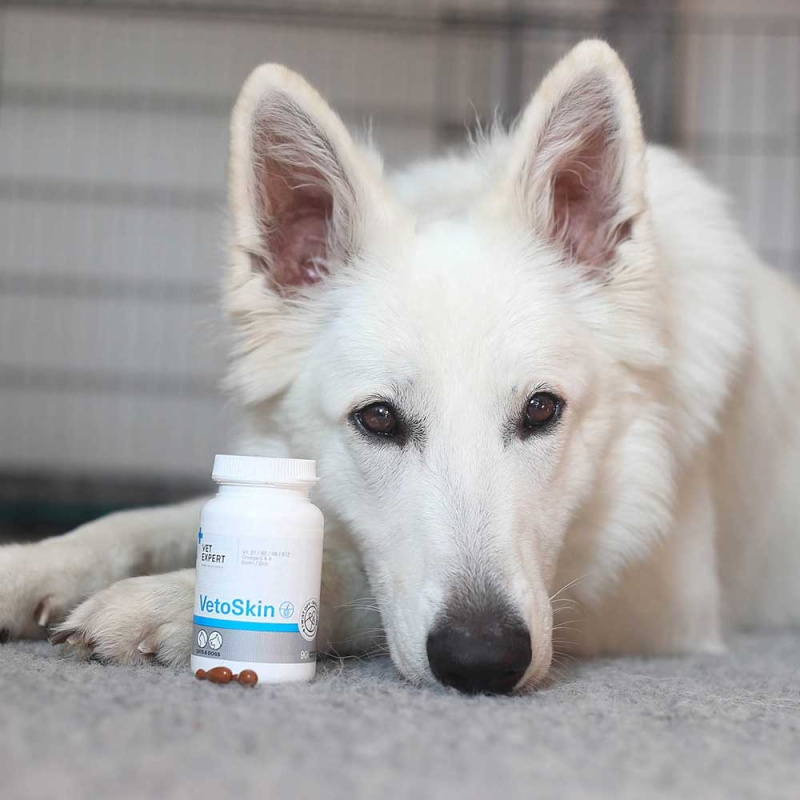 VET EXPERT VETOSKIN - preparat na skórę i sierść dla psów i kotów (Wielkość opakowania: 90szt)