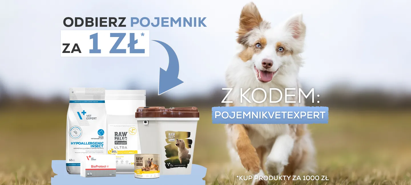 Promocja - pojemnik