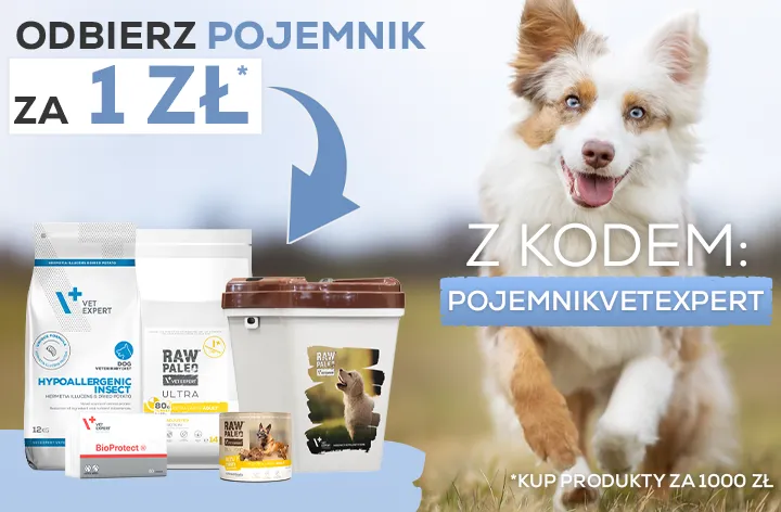 Promocja - pojemnik